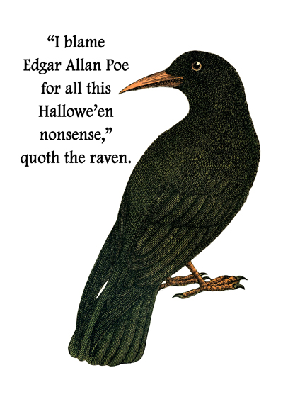 The Cynical Halloween Raven  © Sarah Vernon