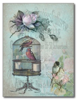 Birdcage Blossom Postcards © Sarah Vernon