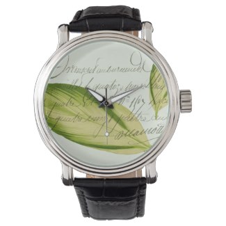 Green Leaf Watch from Zazzle © Sarah Vernon