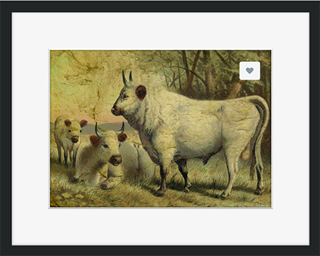 Buy The Cows Came Home Framed Print © Sarah Vernon at Crated