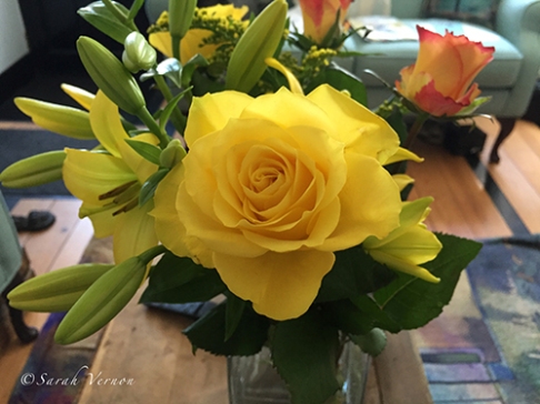 Yellow Bouquet © Sarah Vernon